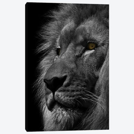 Powerful Resilience I Canvas Print #PRM320} by Marcus Prime Canvas Artwork
