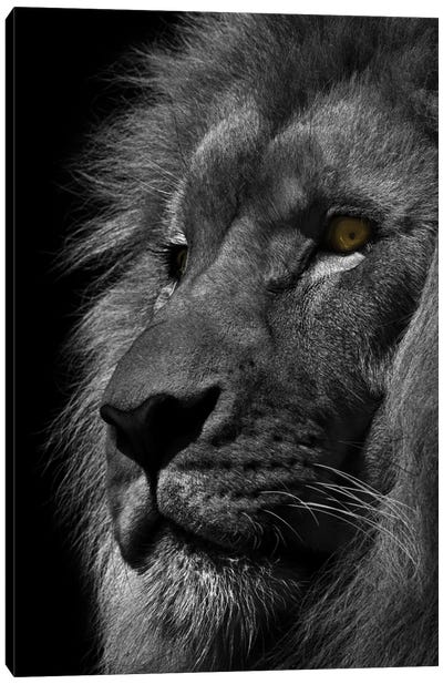 Powerful Resilience I Canvas Art Print - Marcus Prime