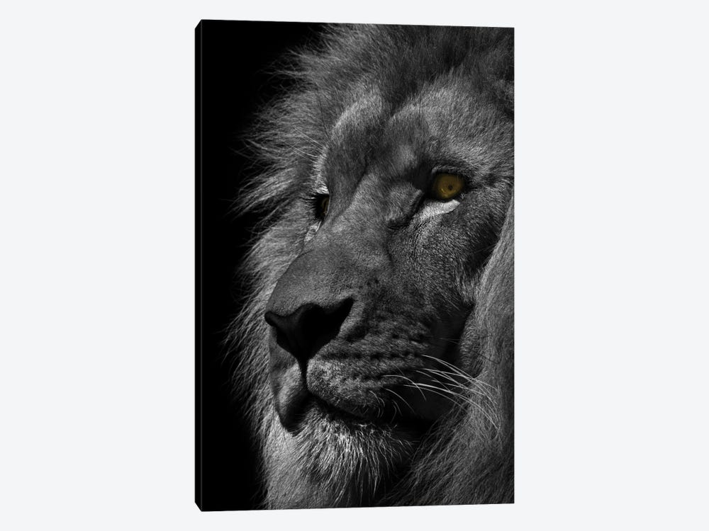 Powerful Resilience I by Marcus Prime 1-piece Canvas Art