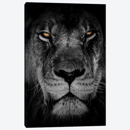 Powerful Resilience II Canvas Print #PRM321} by Marcus Prime Canvas Wall Art