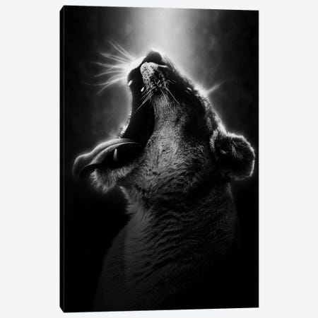 Powerful Resilience III Canvas Print #PRM322} by Marcus Prime Canvas Art
