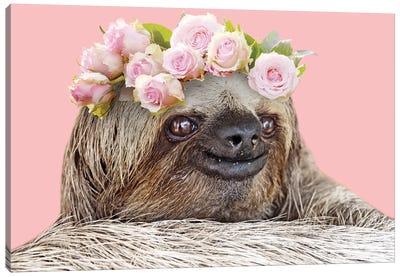 Slow Cutie I Canvas Art Print - Sloth Art