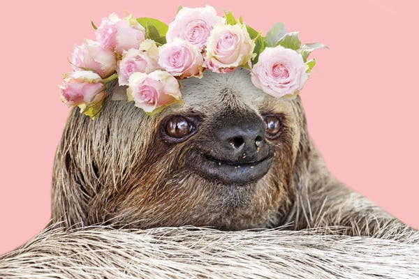 Sloths: Slow Cutie I by Marcus Prime