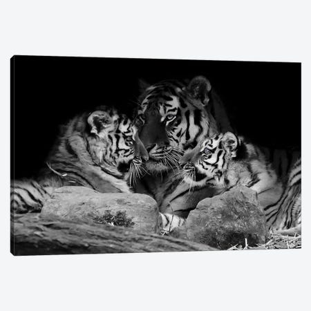 Strong Family I Canvas Print #PRM327} by Marcus Prime Canvas Print
