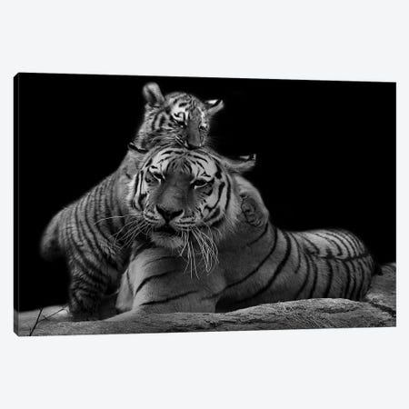 Best Deal for Zakqeik Black and White Painting, Vigilant Tiger