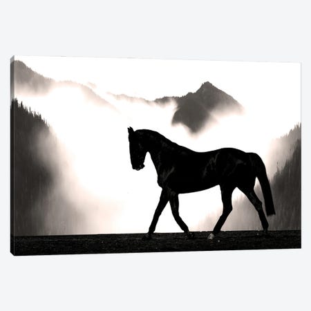 Wandering Horse Canvas Print #PRM332} by Marcus Prime Canvas Art Print