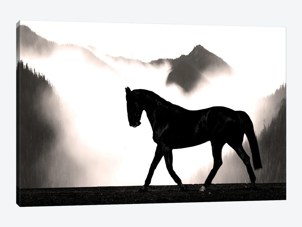 Wandering Horse by Marcus Prime 1-piece Art Print