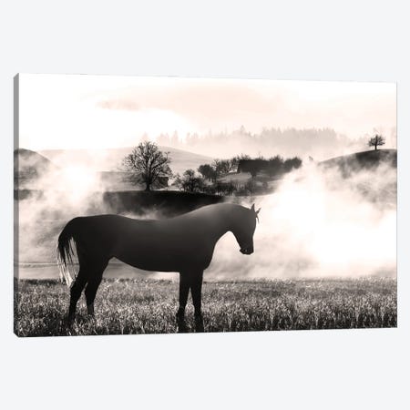 Wandering Horse II Canvas Print #PRM333} by Marcus Prime Art Print