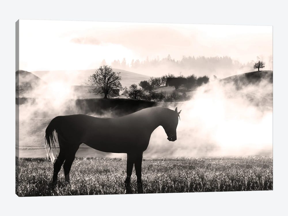 Wandering Horse II by Marcus Prime 1-piece Canvas Wall Art