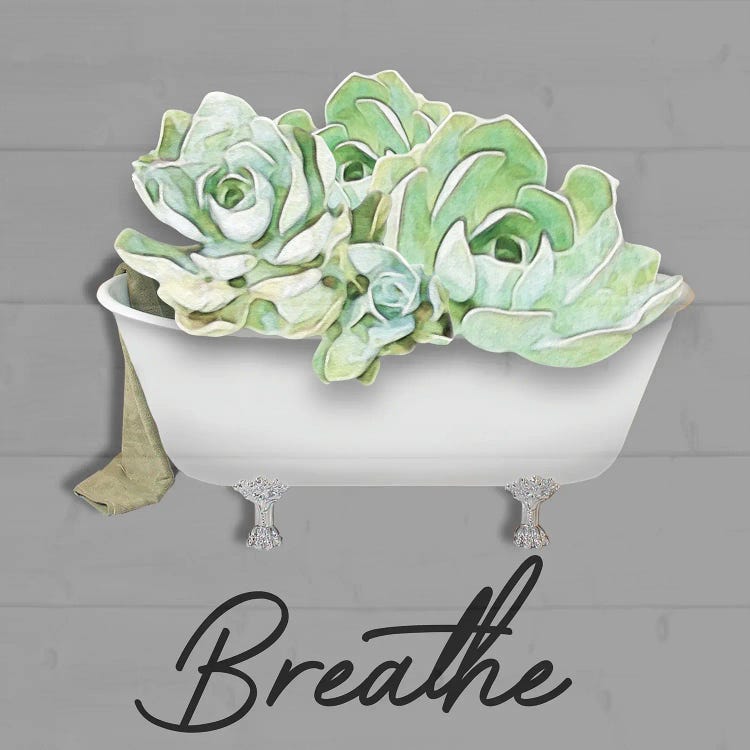 Breathe Succulent