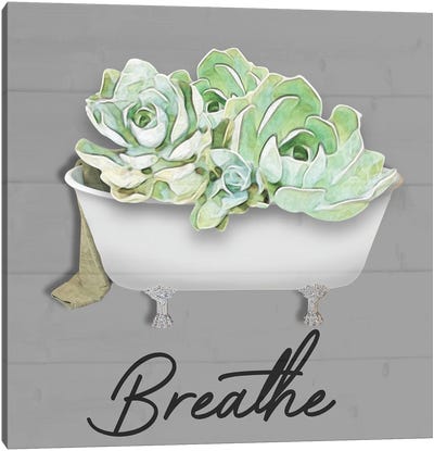 Breathe Succulent Canvas Art Print - Marcus Prime
