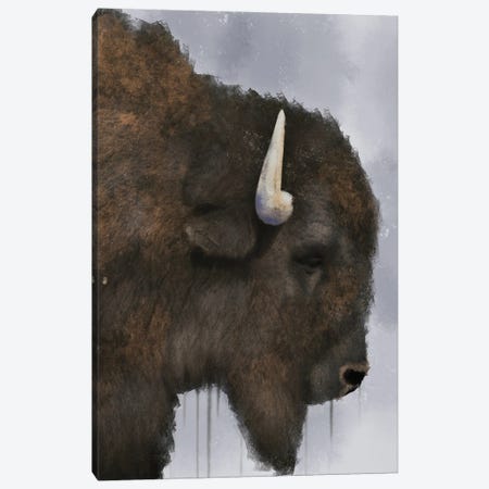 Dripping Bison Canvas Print #PRM341} by Marcus Prime Canvas Artwork