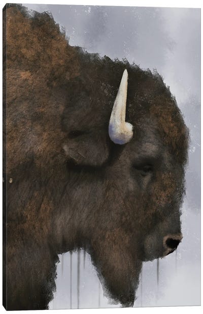 Dripping Bison Canvas Art Print - Marcus Prime