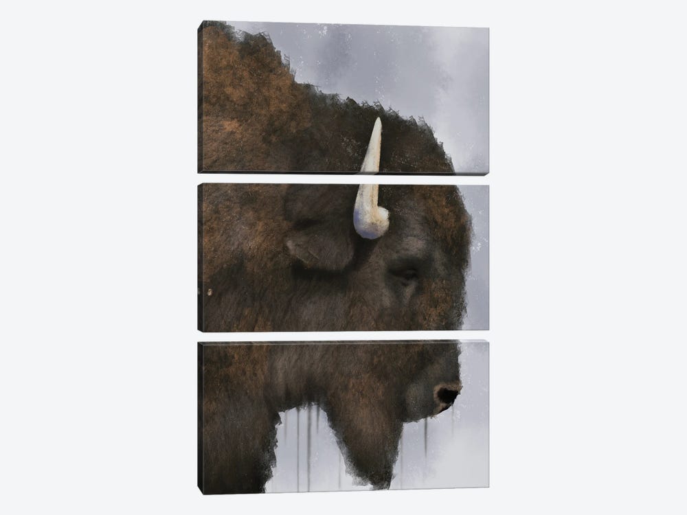 Dripping Bison by Marcus Prime 3-piece Canvas Art Print