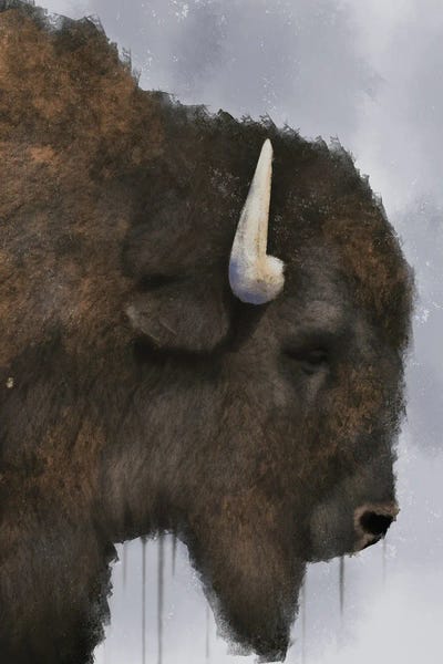 Bison & Buffaloes: Dripping Bison by Marcus Prime