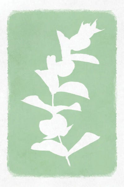 Soft Botanical Feelings II by Marcus Prime framed wall art