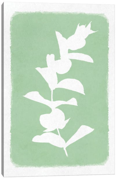 Soft Botanical Feelings II Canvas Art Print - Marcus Prime