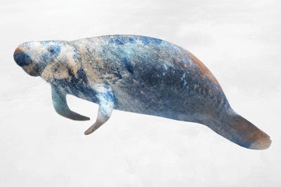 Swimming Manatee by Marcus Prime framed wall art