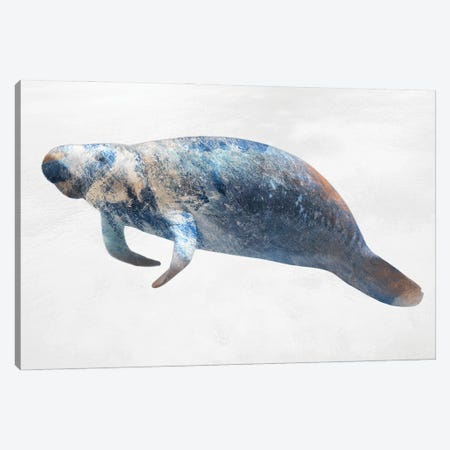 Swimming Manatee Canvas Print #PRM365} by Marcus Prime Canvas Print