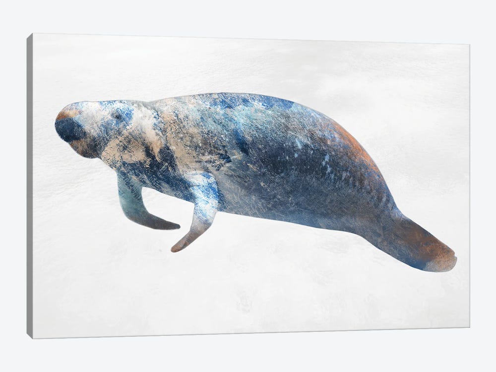 Swimming Manatee by Marcus Prime 1-piece Canvas Print
