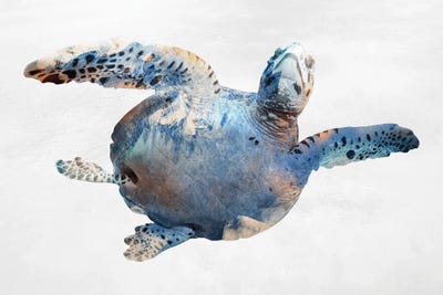 Swimming Ocean Friend by Marcus Prime canvas print