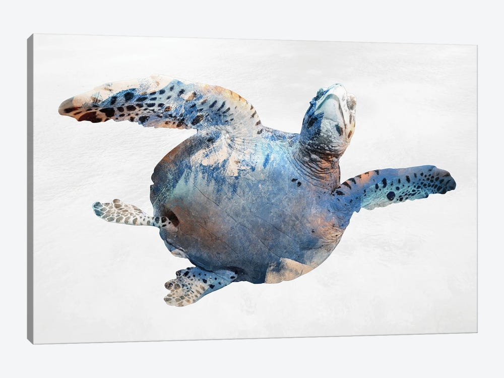 Swimming Ocean Friend by Marcus Prime 1-piece Canvas Wall Art