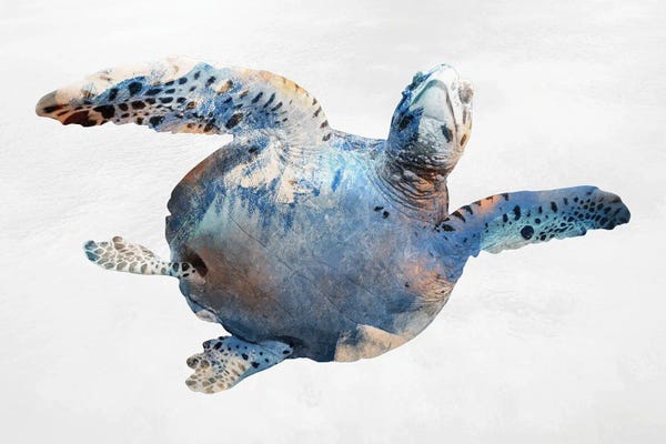 Turtles: Swimming Ocean Friend by Marcus Prime