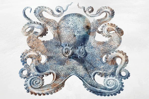 Octopi: Swimming Ocean Friends III by Marcus Prime