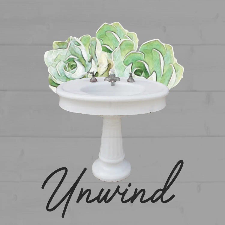 Unwind Succulent by Marcus Prime wall art