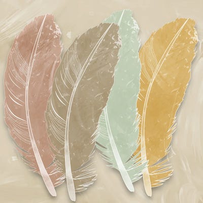 Feather Bunch by Marcus Prime framed wall art