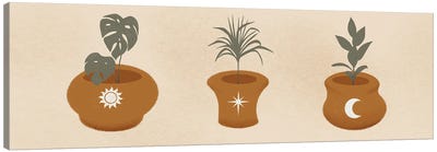 Celestial Plants I Canvas Art Print - Marcus Prime