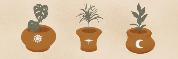Monsteras: Celestial Plants I by Marcus Prime