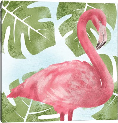 Emerging Flamingo I Canvas Art Print - Marcus Prime