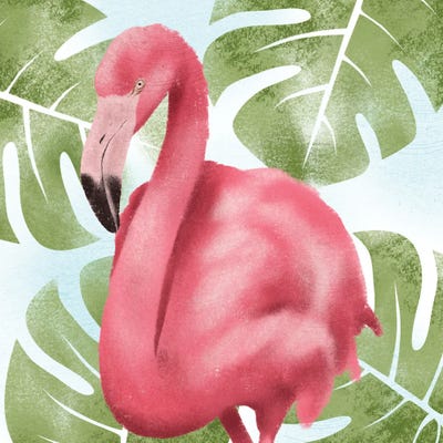 Emerging Flamingo II by Marcus Prime framed wall art
