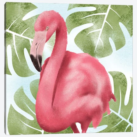 Emerging Flamingo II Canvas Print #PRM407} by Marcus Prime Canvas Wall Art
