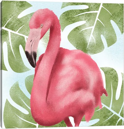 Emerging Flamingo II Canvas Art Print - Marcus Prime