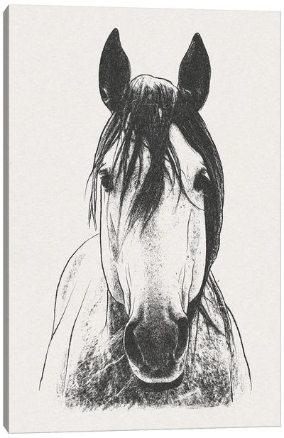 Daring Stallion Canvas Art Print - Marcus Prime