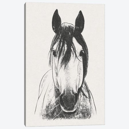Daring Stallion Canvas Print #PRM413} by Marcus Prime Canvas Art