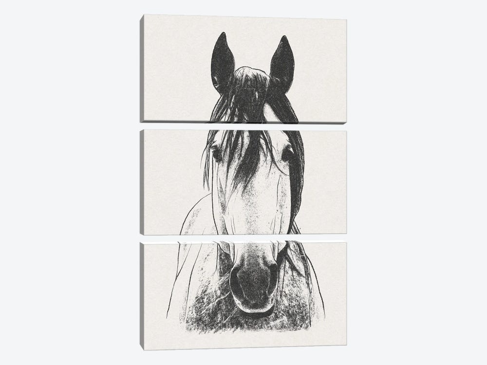 Daring Stallion by Marcus Prime 3-piece Art Print
