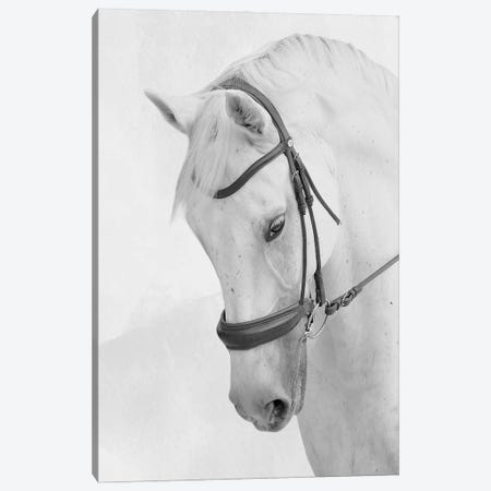 Praying Steed Canvas Print #PRM414} by Marcus Prime Art Print
