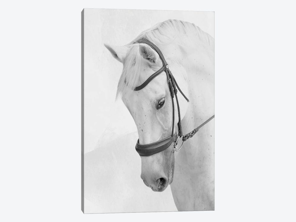 Praying Steed by Marcus Prime 1-piece Canvas Artwork