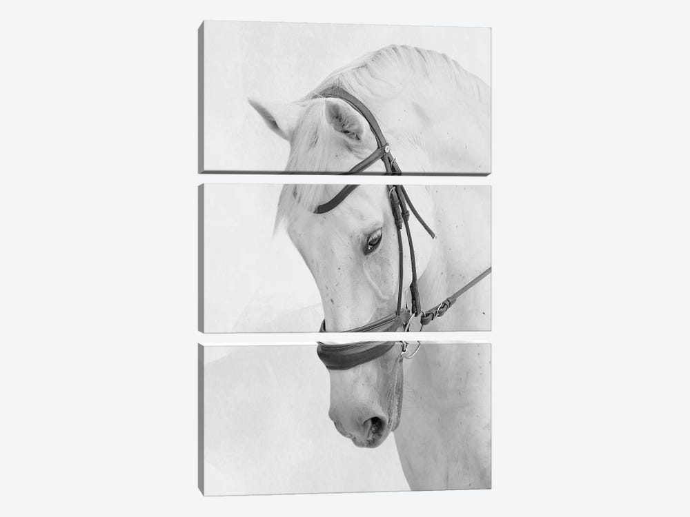 Praying Steed by Marcus Prime 3-piece Canvas Artwork