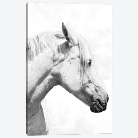 Praying Steed II Canvas Print #PRM415} by Marcus Prime Canvas Print