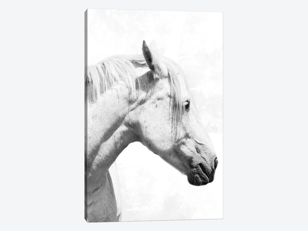 Praying Steed II by Marcus Prime 1-piece Art Print