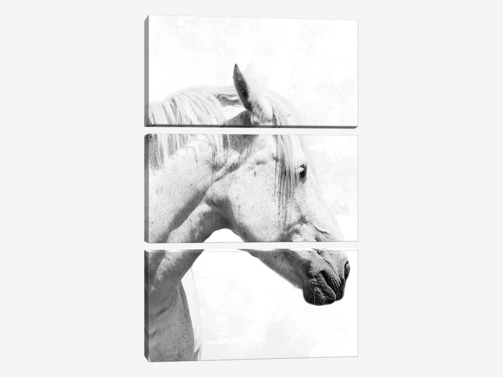 Praying Steed II by Marcus Prime 3-piece Canvas Art Print