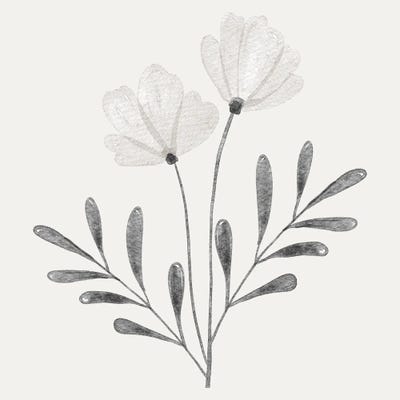 Canvas Print: Floral Discovery II by Marcus Prime - thumbnail