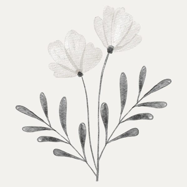 Minimalist Flowers: Floral Discovery II by Marcus Prime