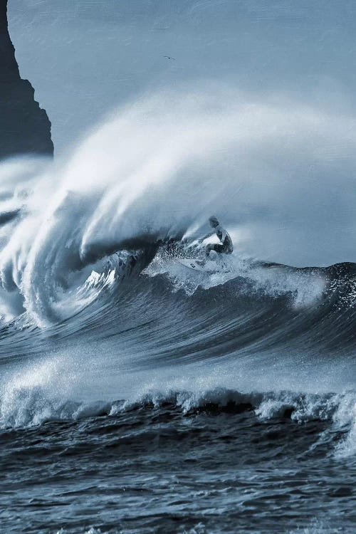 Blooming Surf II
