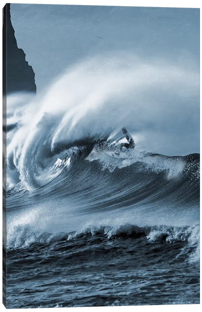 Blooming Surf II Canvas Art Print - Marcus Prime