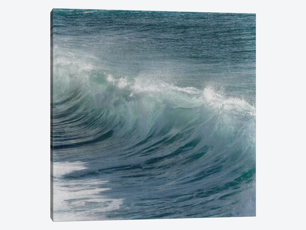 Turbulent Beauty I by Marcus Prime 1-piece Canvas Print